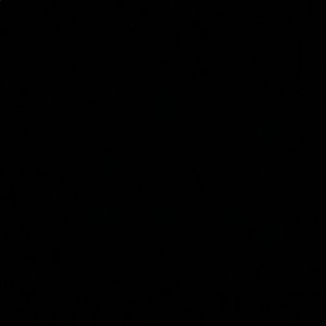 Meet your Posher, Claudia